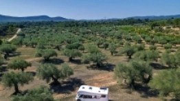 Benimar nadal z alkową - zdjęcie 5